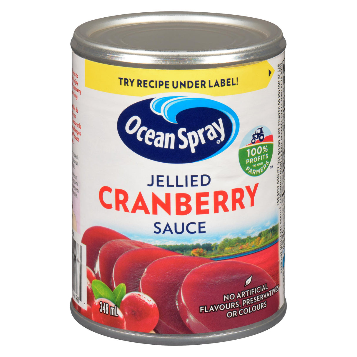 OCEAN SPRAY JELLIED CRANBERRY SAUCE 348ML
