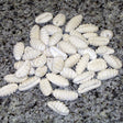 ONLY PASTA GNOCCI 5KG Default Title