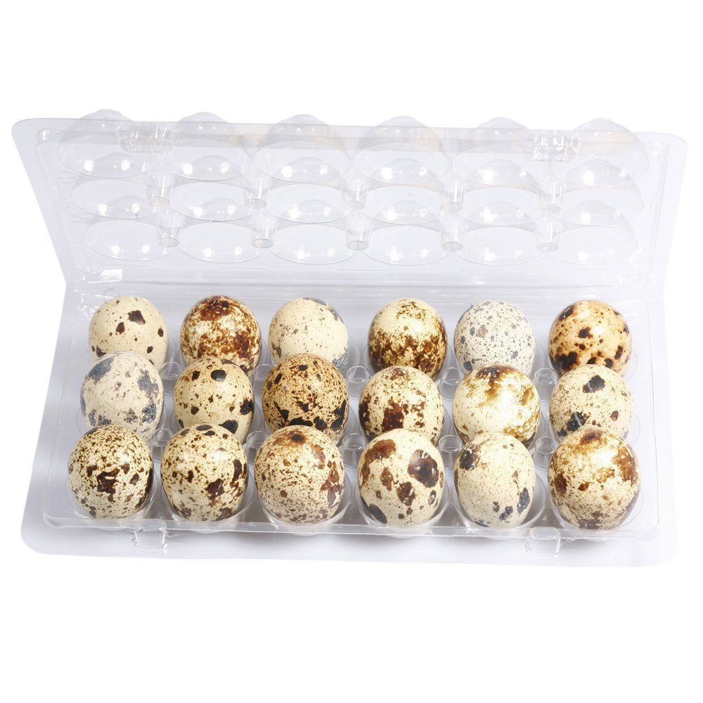 ALL NATURAL QUAIL EGGS 18EA
